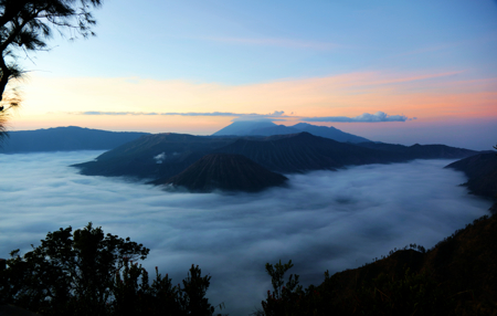 Bromo